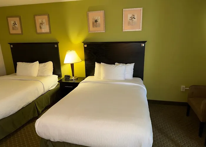 Quality Inn & Suites Moline Airport