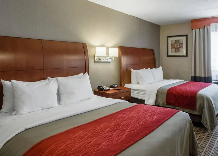 Comfort Inn & Suites West Springfield