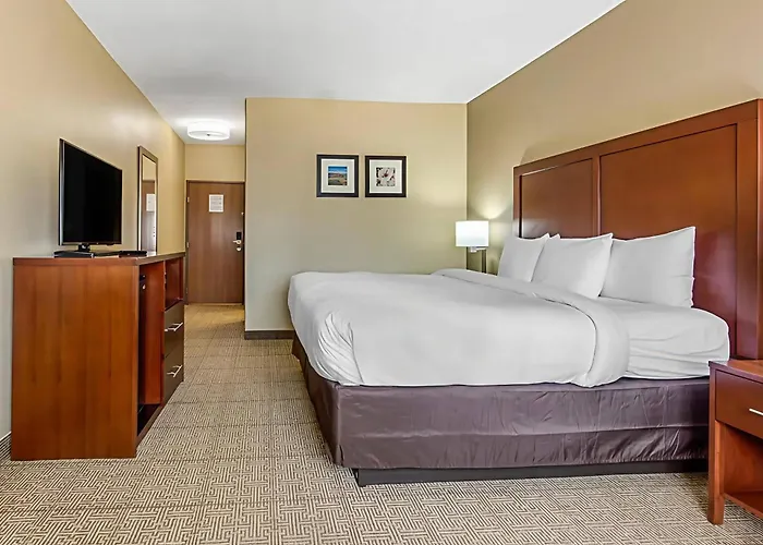 Comfort Inn & Suites Mccomb