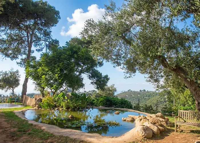 Beit Oren Hotel - Boutique Hotel With Shelter Access