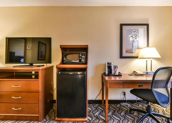 Comfort Inn & Suites Ambassador Bridge Windsor