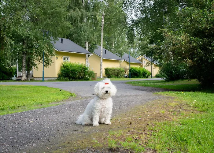 Nallikari Seaside Cottages