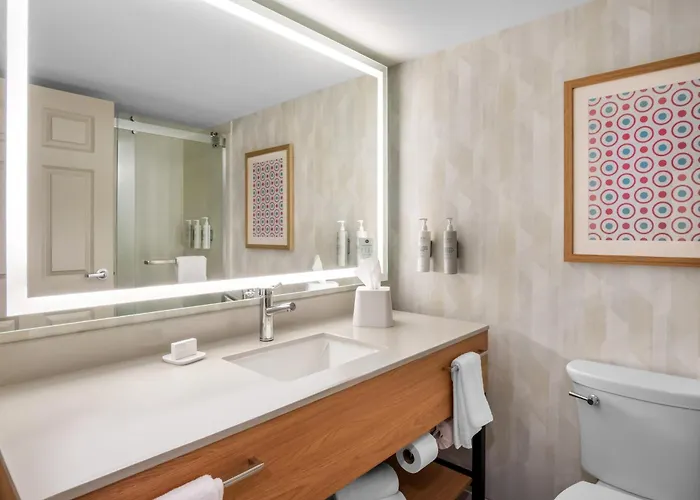 Hampton Inn By Hilton Addison Dallas