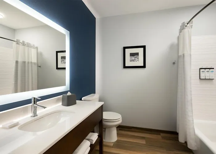 Hyatt Select St Louis Airport