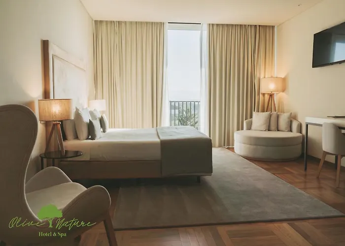 Olive Nature Hotel & Spa - Quinta Valle De Passos