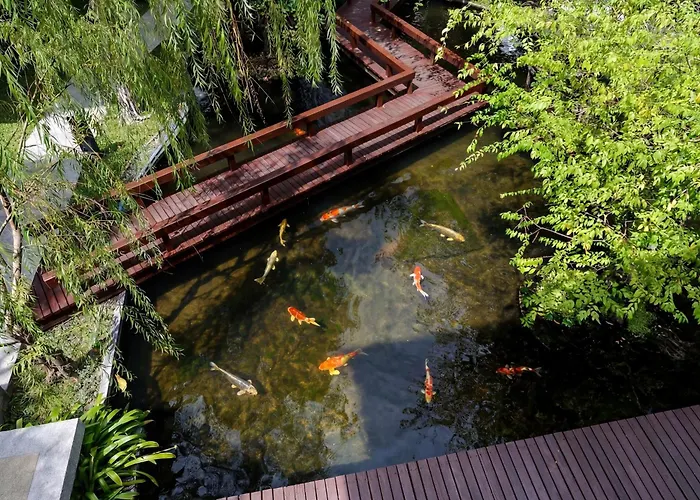 Park Nine Srinakarin