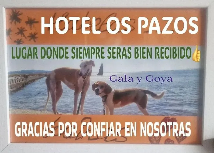 Hotel Os Pazos Familiar