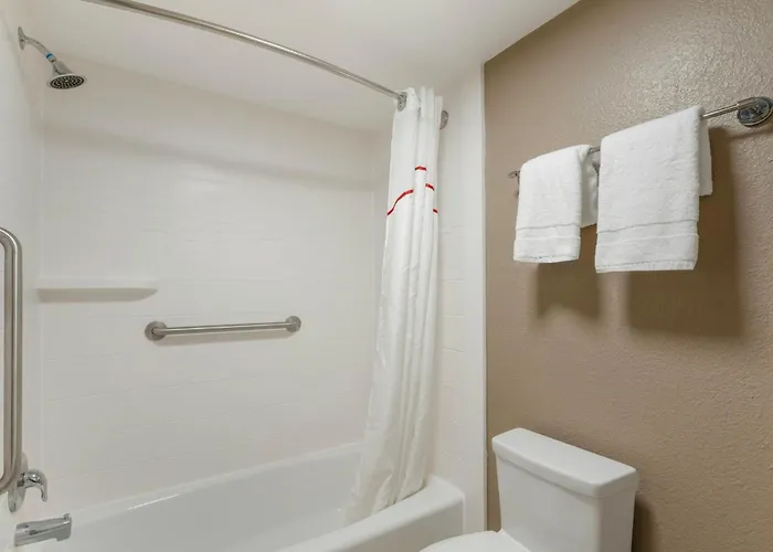 Red Roof Inn Tampa Bay - St. Petersburg