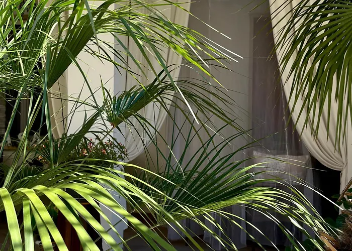 Casa Mar - B&B -
