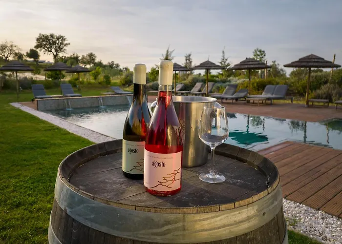 Quinta Da Amendoeira - - The Farmhouse