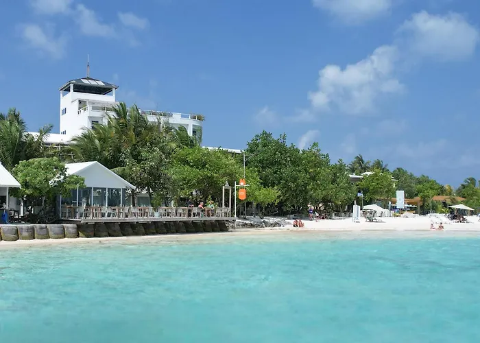Rashu Hiyaa
