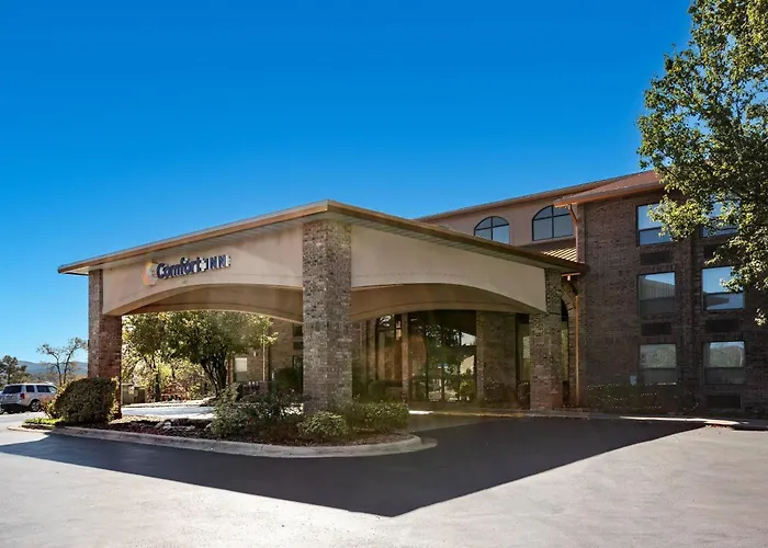 Comfort At Thousand Hills