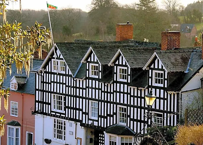The Dragon Hotel
