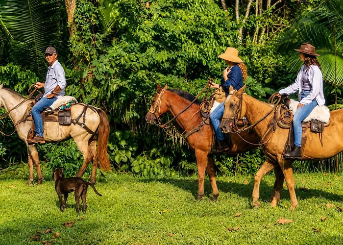 Boutique Maitta En Antioquia