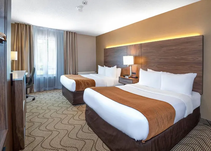Comfort Inn Lakeshore