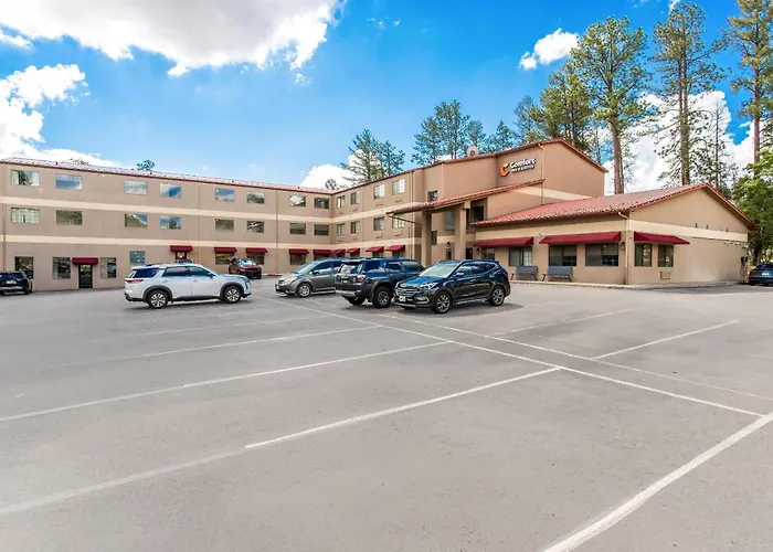 Comfort Inn & Suites Midtown
