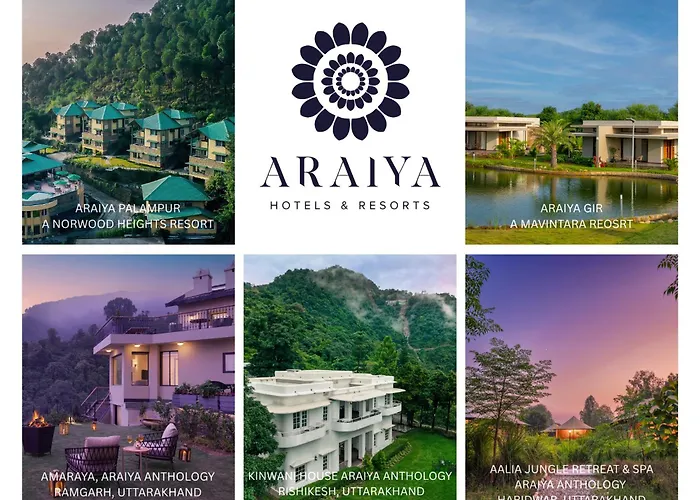 Araiya Palampur