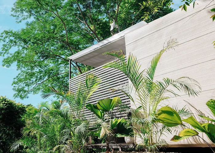 Alaya B&B - Yoga & Surf Retreat