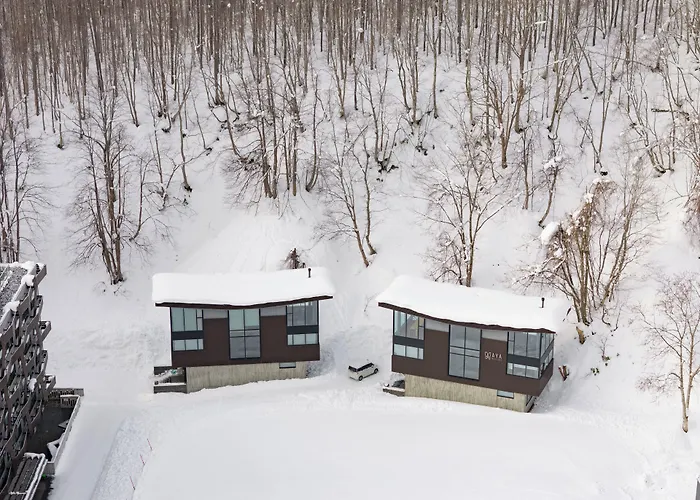 Aya Niseko
