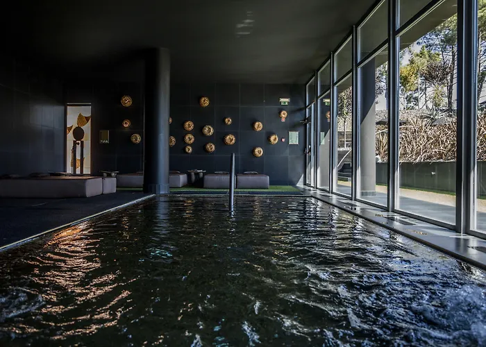 Evidencia Belverde Hotel Amora