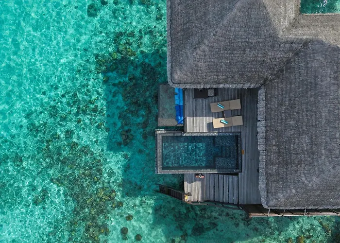 Coco Bodu Hithi - 50 Percent Off Shared Roundtrip Speedboat For Stays Until 31St October 2026
