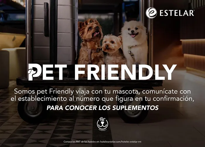 Estelar De Indias Y Centro De Convenciones