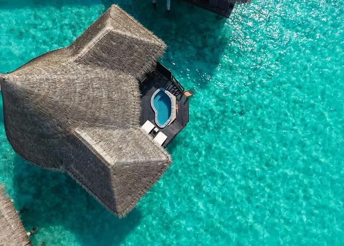 Coco Palm Dhuni Kolhu