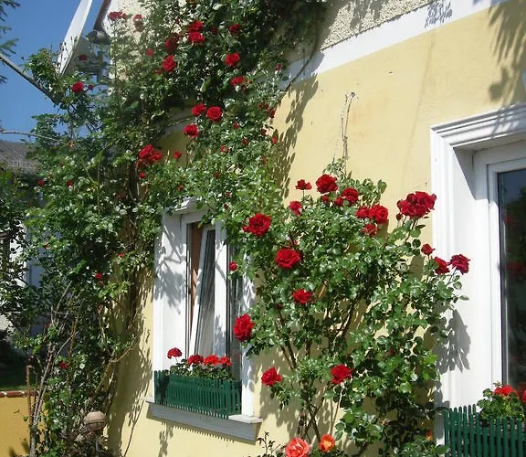 Pension Arkadenhof