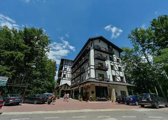 Hotel Posada Vidraru