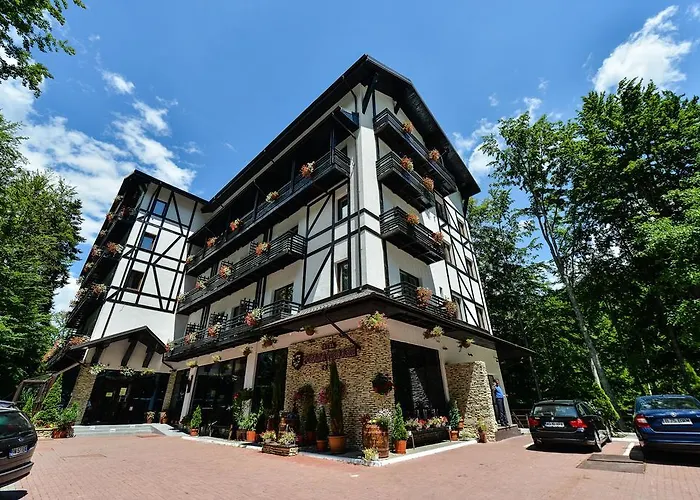 Hotel Posada Vidraru