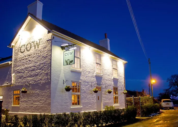 The Cow Dalbury
