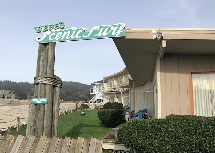 Webb'S Scenic Surf