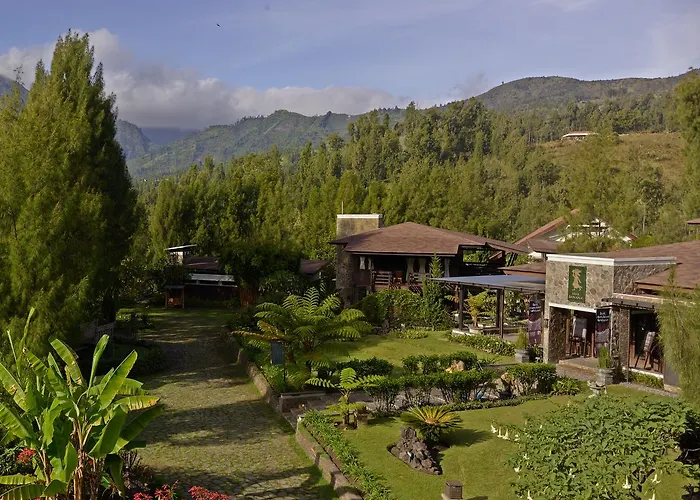 Jiwa Jawa Resort Bromo