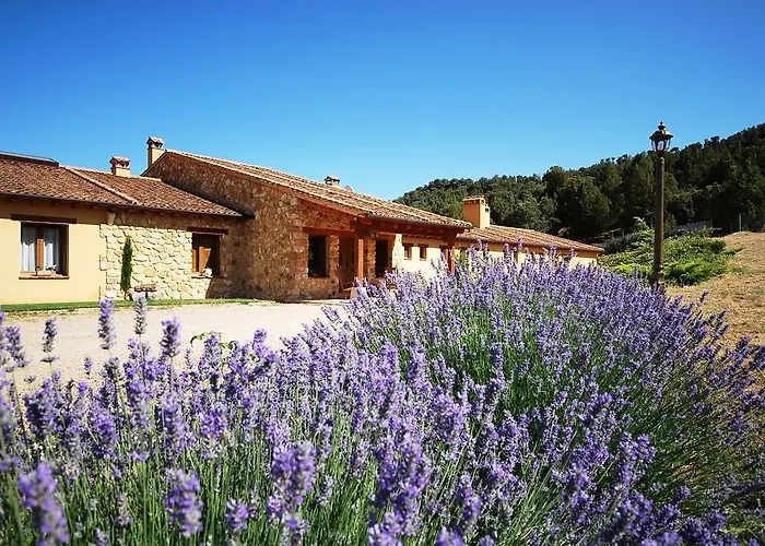 Hotel Del Verde Al Amarillo
