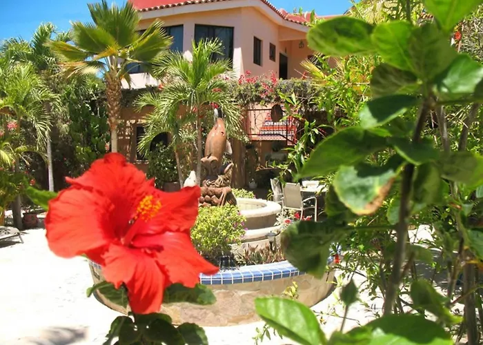 Hacienda de Palmas Hotel