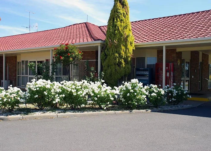 Pines Country Club Motor Inn