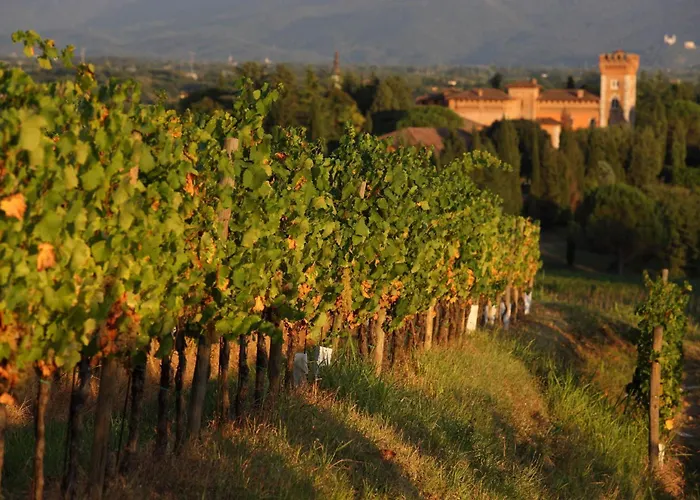 Hotel Castello Di Spessa - Residenze d'epoca Capriva del Friuli
