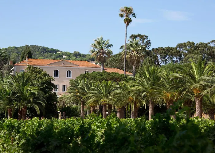 Chateau De Valmer La Croix-Valmer