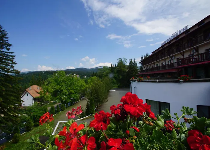Hotel Rozmarin Predeal