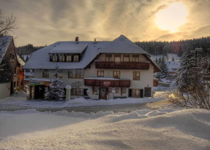 Landhotel Und Apartments Sonneck