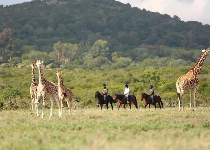 The Aberdare Country Club Hotel Mweiga