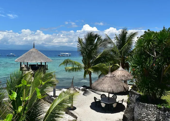 Dolphin House Moalboal