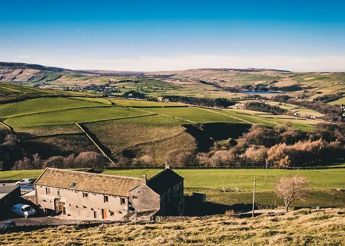 Coddy'S Farm