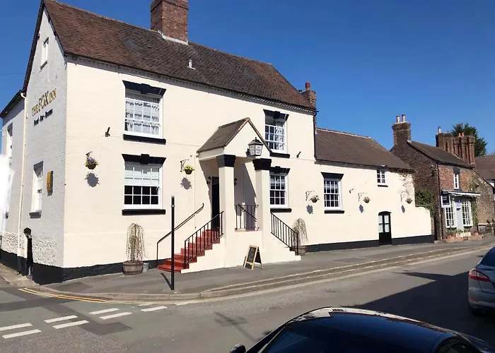 The Fox