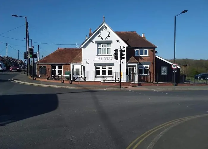 The Stag