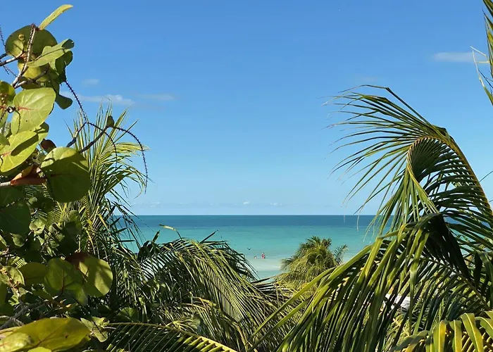 Palapas Del Sol Hotel Isla Holbox