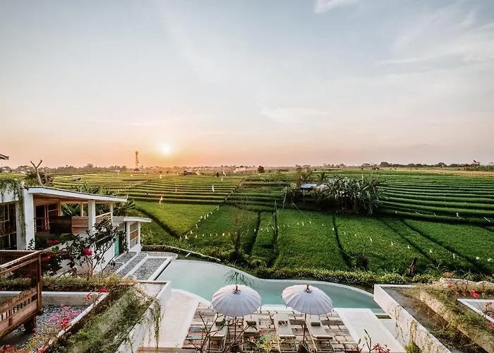 Boho Canggu