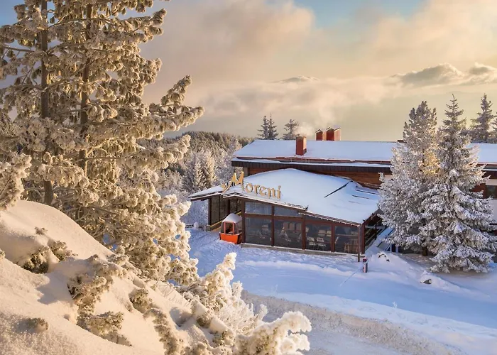 Hotel And Relax Moreni Vitosha